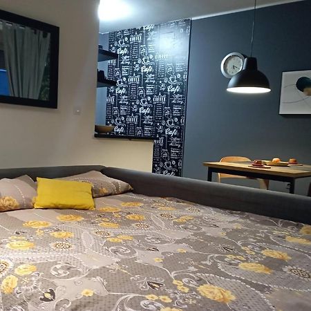 Sun Center Apartment Novi Sad Bagian luar foto