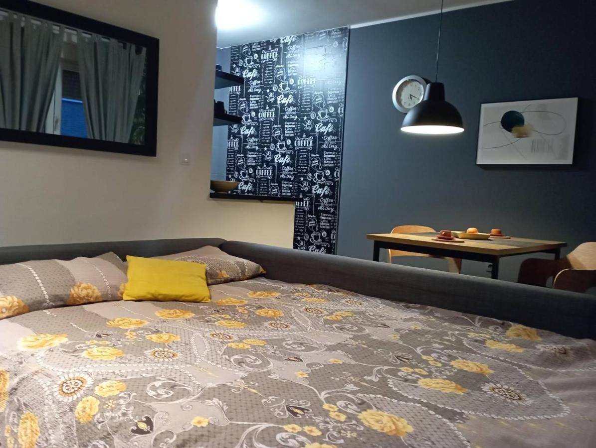 Sun Center Apartment Novi Sad Bagian luar foto